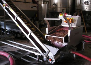 estrazione vinaccioli