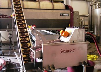 svinacciolo in funzione