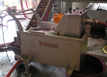 svinatore/separatore di vinaccioli