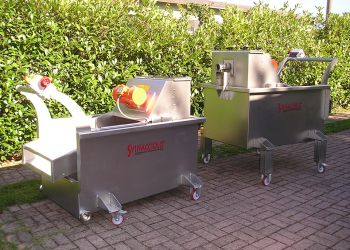 estrazione vinaccioli e svinatura